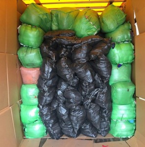 kawlatex_new_germany_3
